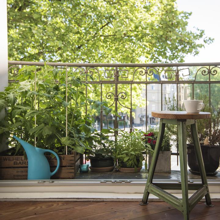 Actual product image Relaxdays 50x plant stick (60 cm, 60 cm)