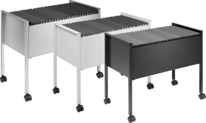 Produktbild Durable ECONOMY HÄNGEMAPPENWAGEN 80 A4 1 ST 309501 (65.5 x 37 x 59.5 cm)