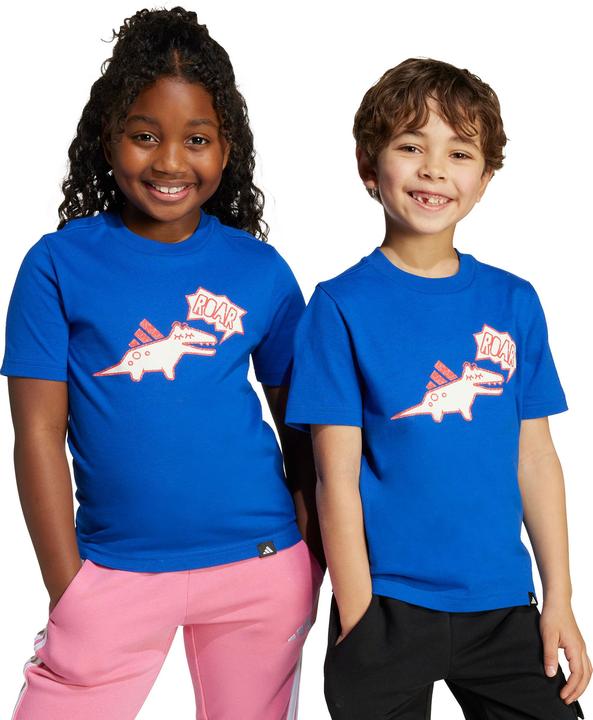 Actual product image adidas Kids Adiraptor Graphic (116)