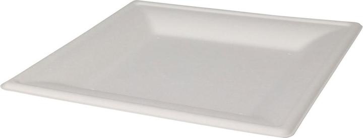 Disposable plate square 20cm, 8 pcs. (8 x)