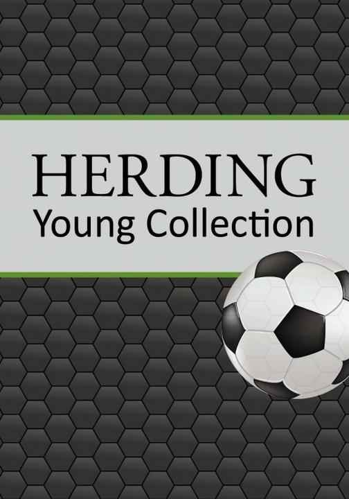 Produktbild Herding Klaus GmbH Kissen Fussball 30 cm x 50 cm (30 x 50 cm)
