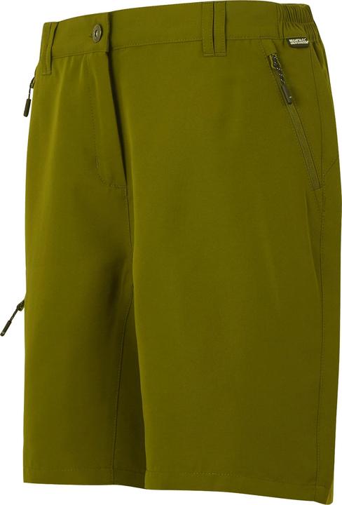 Actual product image Regatta Womens/Ladies Chaska III Walking Shorts (Frequency band 38 (2600 MHz))