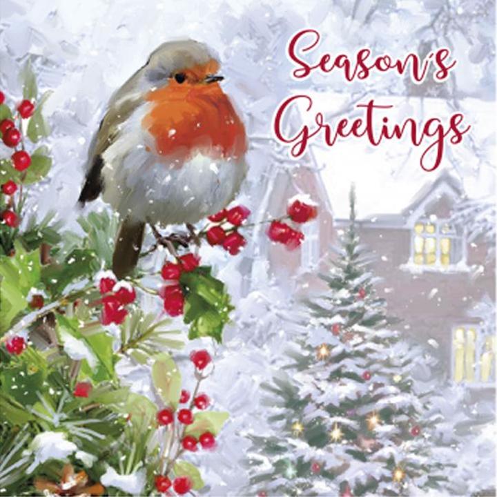 Produktbild Eurowrap Rotkehlchen Weihnachtskarte Seasons Greetings 12erPack Karton