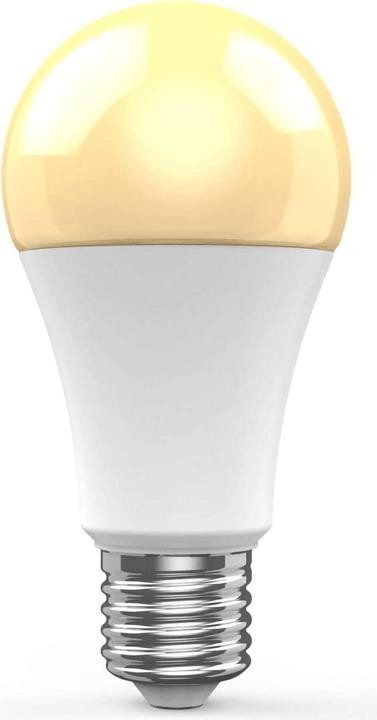 Actual product image Woox Gluehbirne (E27, 10 W, 806 lm, 1 x, G)