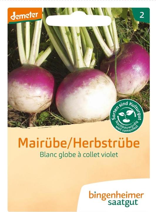 Image du produit Bingenheimer Saatgut Navet blanc globe (Germes)
