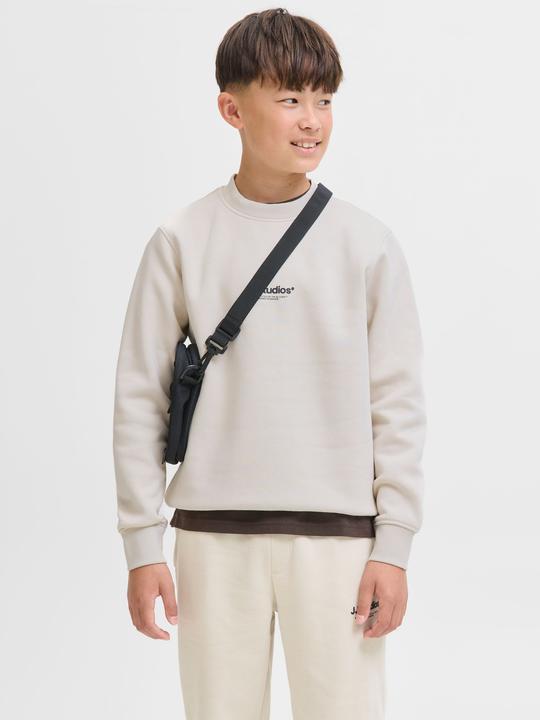 Actual product image Jack & Jones Sweatshirt Junior Sweatshirt (164)