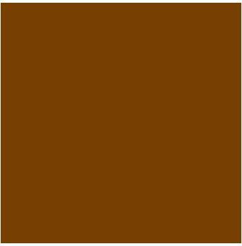 Actual product image Solo Goya Acrylic (Umber, 250 ml)