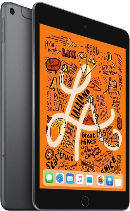 Apple iPad mini 2019 (5. Gen) (4G, 7.90", 256 GB, Grigio siderale)