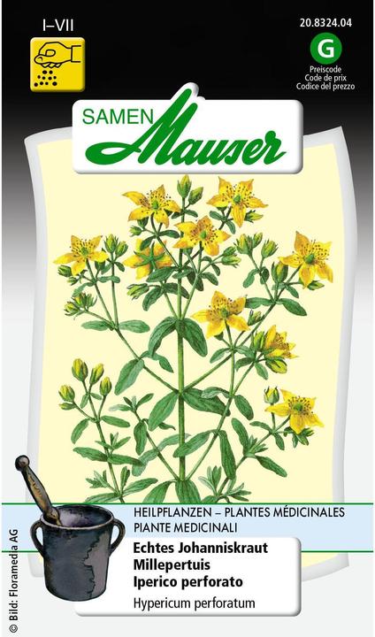 Produktbild Samen Mauser Echtes Johanniskraut (Pflanzensamen)