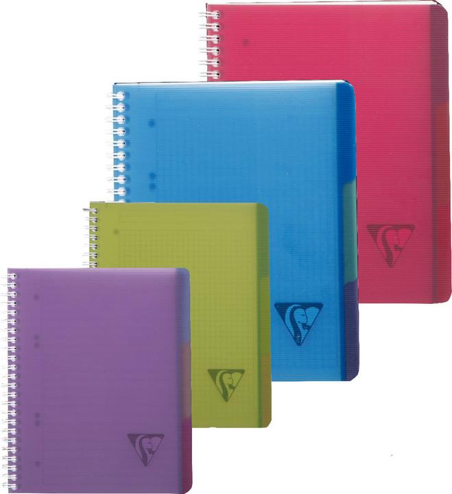 Produktbild Clairefontaine Linicolor Evolutiv Book (A4+, Kariert, Weicher Einband)