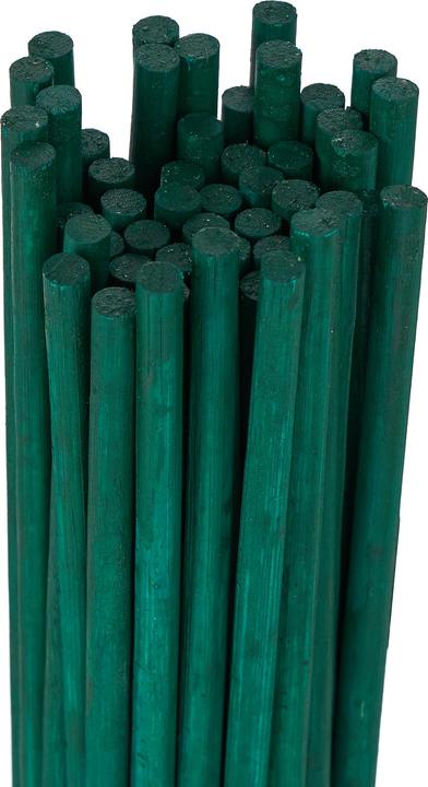 Actual product image Relaxdays 50x planting sticks (50 cm, 50 cm)
