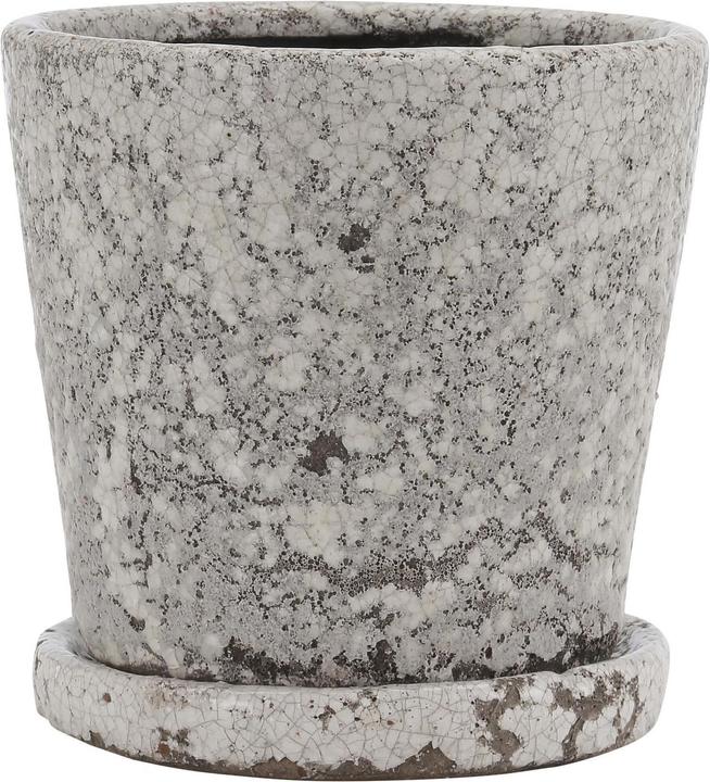 A Simple Mess Aquilone (14 cm)