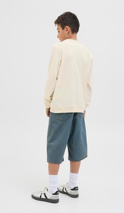 Actual product image Jack & Jones Gedruckt Sweatshirt Junior Sweatshirt (140)