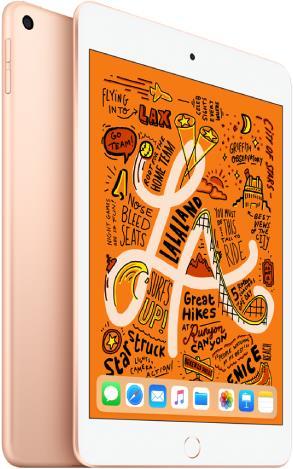 Apple iPad mini 2019 (5. Gen) (WLAN only, 7.90", 64 GB, Gold)