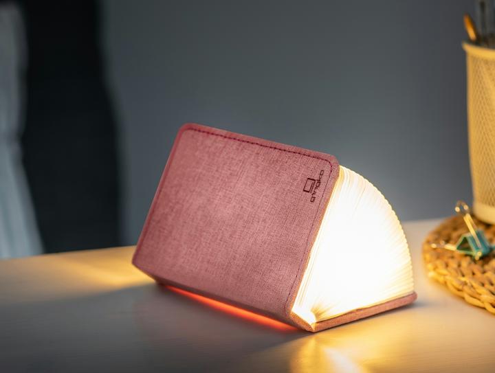 Actual product image Gingko Mini Smart Book Light