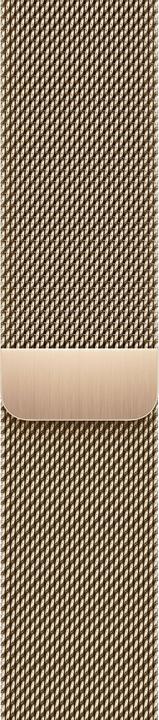 Actual product image Apple Milanaise bracelet (45 mm, Stainless steel)
