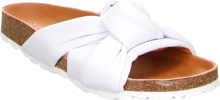 Actual product image Verbenas Rainbow Blanco (38)