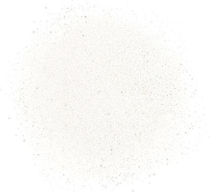 Actual product image Chanel Face Mist (50 ml)
