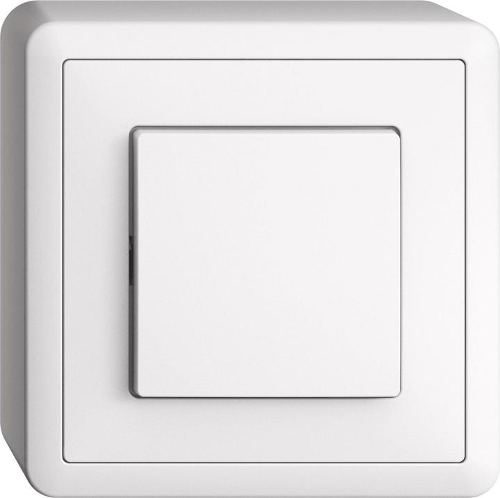 Actual product image Feller EDIZIOdue switch S6, surface mount, white