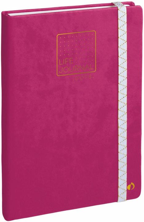 Immagine prodotto Quo Vadis Taccuino Life Journal 21 punti (15 x 21 cm)
