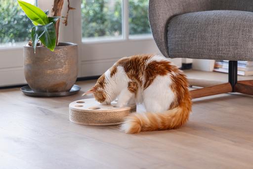 Productafbeelding Designed by Lotte Raya kattenspeeltje (Speelgoed met kattenkruid)