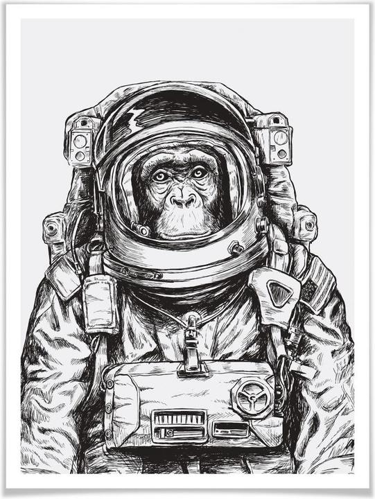 Actual product image Trenddeko Space Monkey (50 x 60 cm)