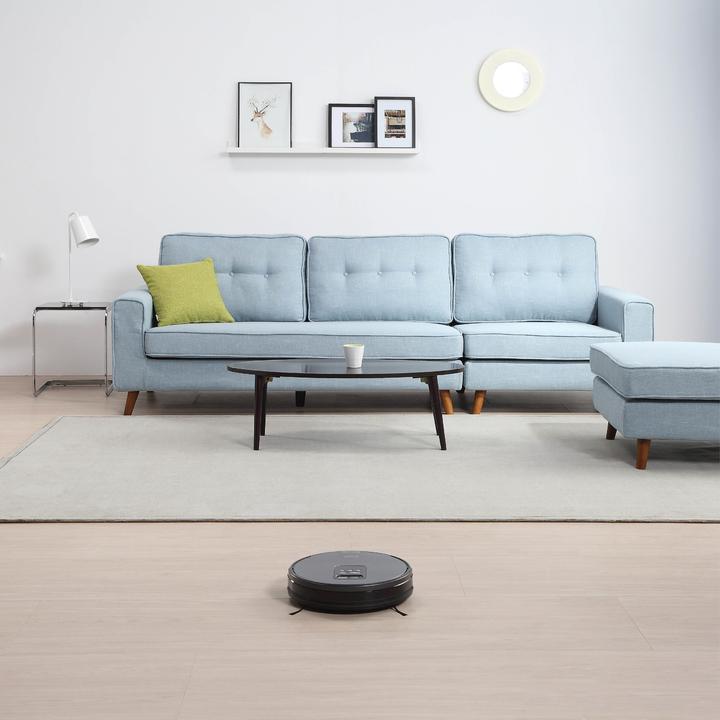 Actual product image iLife Beetles