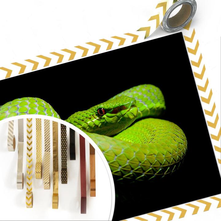 Produktbild Trenddeko Hakonsen - Die grüne Pit-Viper (45 x 30 cm)