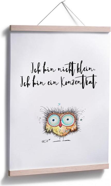 Produktbild Trenddeko Hagenmeyer - Ich bin nicht klein... (30 x 40 cm)