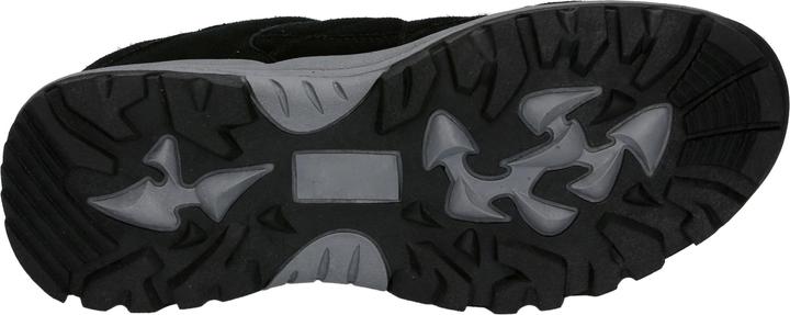 Actual product image Lico Argus (41)