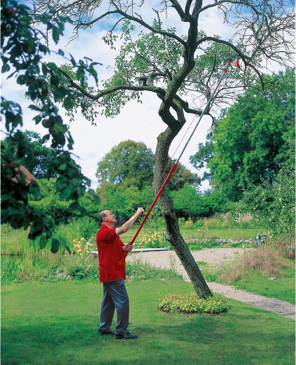 Produktbild Wolf-Garten Baumschere