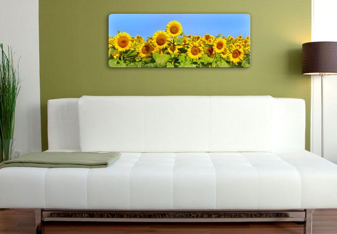 Produktbild Trenddeko Sonnenblumenfeld - Panorama (80 x 30 cm)
