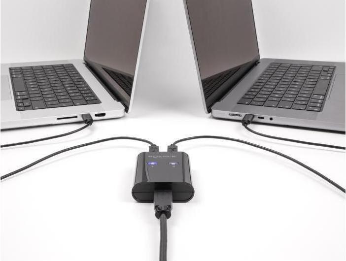 Actual product image Delock USB 5 Gbps switch for 2 PCs on 1 device