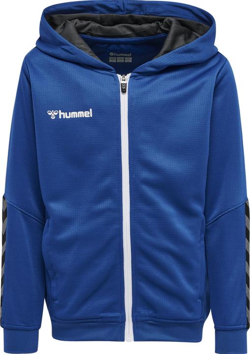 hummel Authentic Kids Poly Zip Hoodie (176)