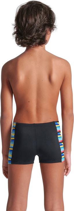 Actual product image Arena B Racing Stripe Swim Short (116)