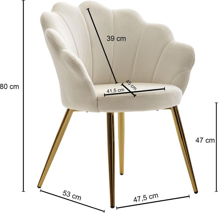 Actual product image FineBuy Tulpe