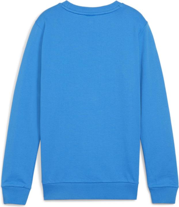 Actual product image Puma teamGOAL Casuals Crew Neck Sweat Jr (128)