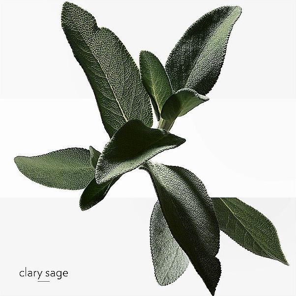 Actual product image Hermès H24 (Eau de toilette, 50 ml)