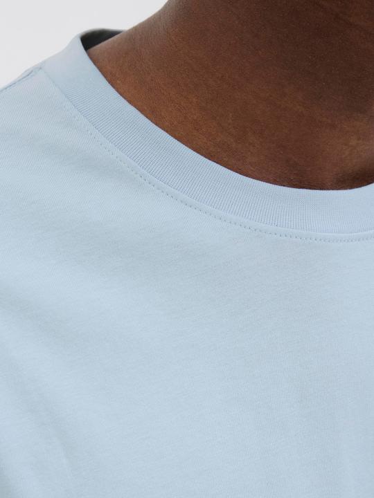 Actual product image Jack & Jones Jorvesterbro Tee Ss Crew Neck Noos (XXL)