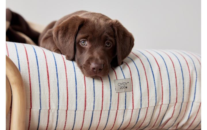 Image du produit Oyoy Lit pour chien Otto (Chien)