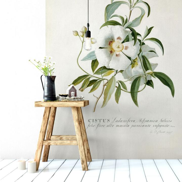 Image du produit Trenddeko Ehret - Ciste (240 x 350 cm)