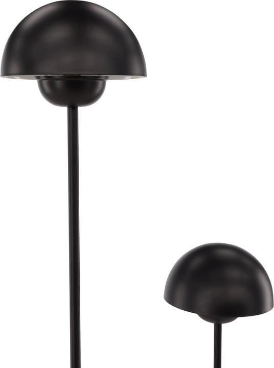 Actual product image Vind Lyckorna (G9)