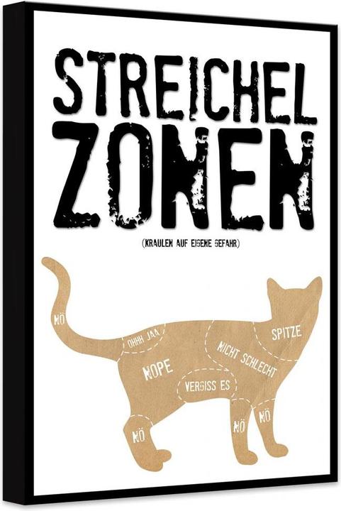 Image du produit Trenddeko Zones de caresses - Chat (40 x 60 cm)