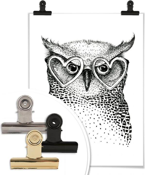Image du produit Trenddeko Kvilis - Le petit hibou geek (30 x 40 cm)