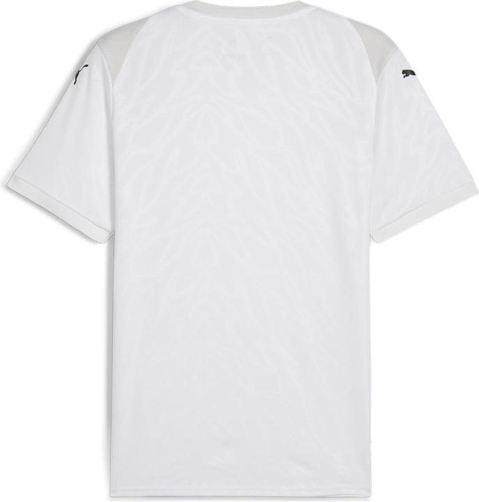 Produktbild Puma teamCUP Jersey (L)