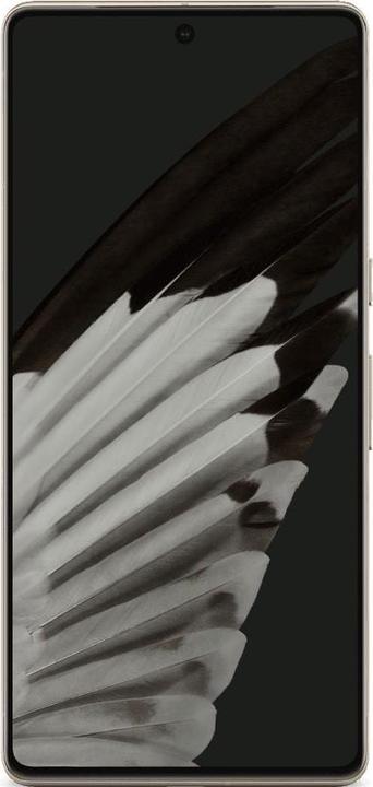 Immagine prodotto Google Pixel 7 Pro (256 GB, Nocciola, 6.70", SIM + eSIM, 50 Mpx, 5G)