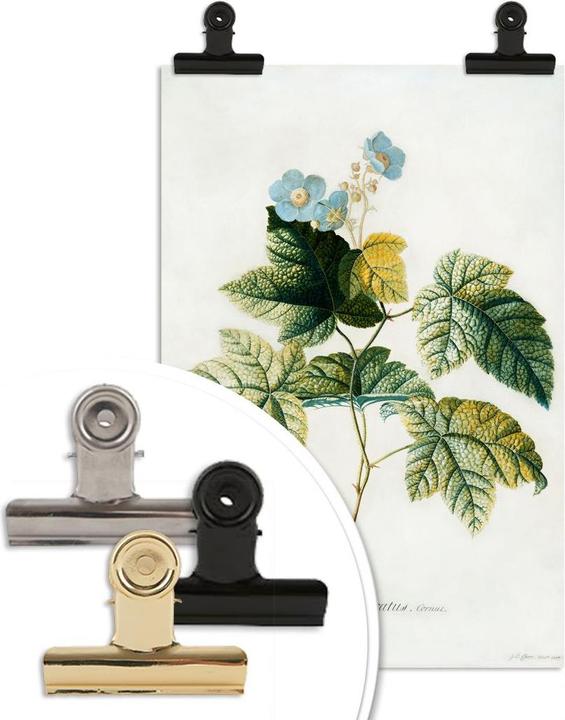 Image du produit Trenddeko Ehret - Rubus (70 x 100 cm)
