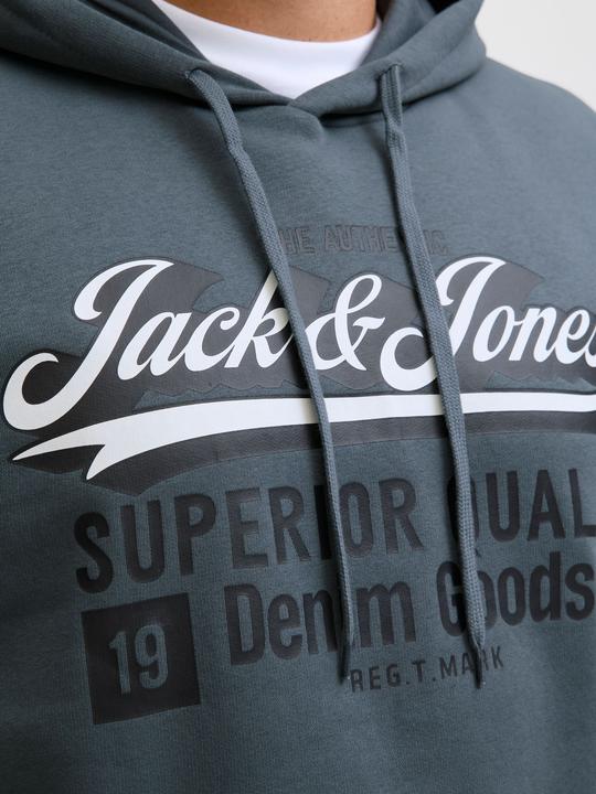 Immagine prodotto Jack & Jones JJELOGO SWEAT HOOD 2 COL 24/25 NOOS PLS (4XL)