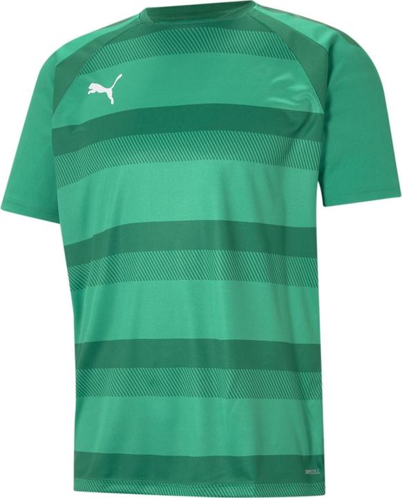 Actual product image Puma teamVISION Jersey-704921 (M)