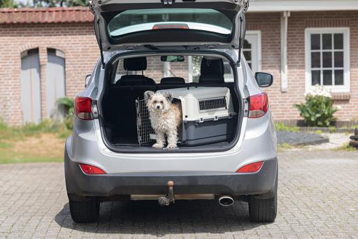Immagine prodotto Karlie Scatola di trasporto nomade (Cane, Gatto, Chiudibile a chiave)